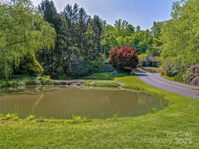 3 Governors Dr, Asheville, NC 28804 - view of community featuring a lawn, a water view, and a forest view