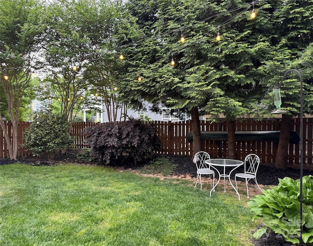 7409 Gilderstern Glen Ct, Huntersville, NC 28078 - view of yard featuring a fenced backyard
