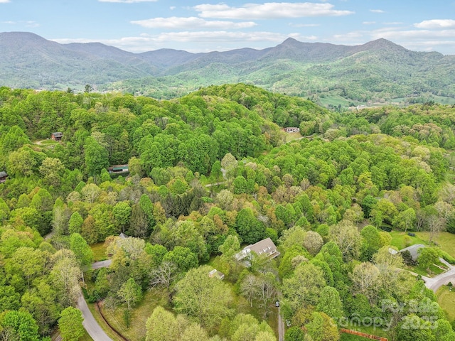 birds eye view of property with a view of trees and a mountain view