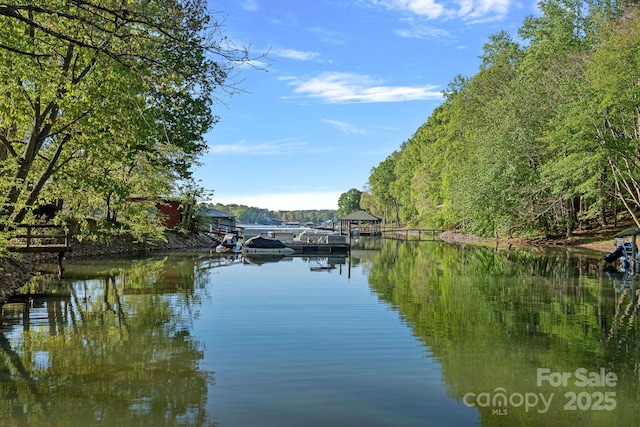 property view of water with a forest view and a boat dock