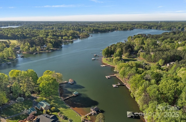 birds eye view of property featuring a forest view and a water view