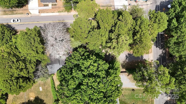 903 W Davidson Ave, Gastonia, NC 28052 - photo 15