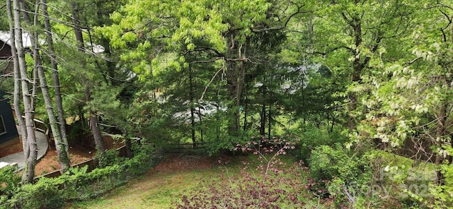 49 Euclid Blvd, Asheville, NC 28806 - view of wooded area