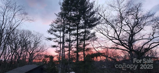 49 Euclid Blvd, Asheville, NC 28806 - view of nature at dusk