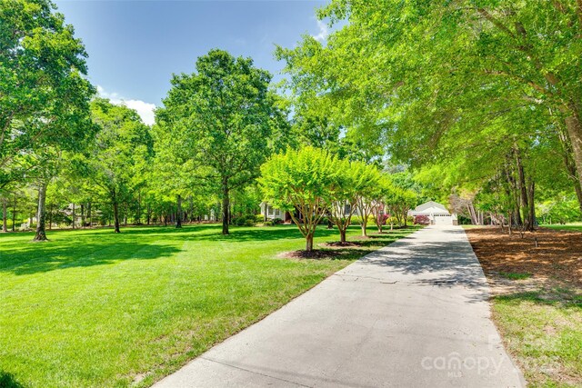 view of community featuring a lawn and view of wooded area
