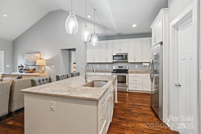 kitchen featuring vaulted ceiling, a sink, open floor plan, stainless steel appliances, and dark wood-type flooring