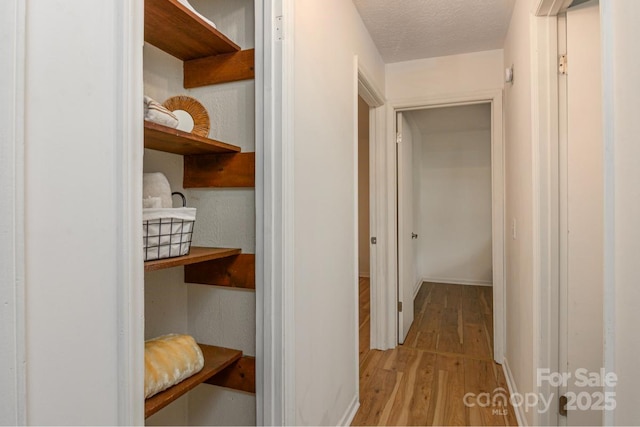 hallway with light wood-style floors