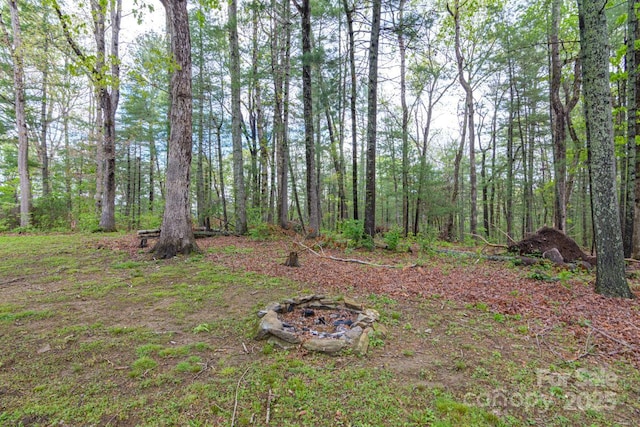 view of yard with a wooded view and an outdoor fire pit