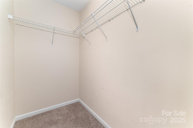 827 Gentlewinds Ct, Fort Mill, SC 29708 - spacious closet with carpet flooring