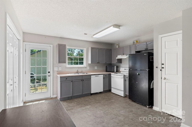 kitchen featuring a sink, white appliances, gray cabinets, light floors, and under cabinet range hood