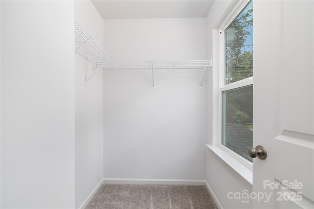 601 Westway Dr, Gastonia, NC 28054 - photo 17