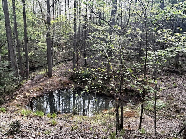 view of local wilderness featuring a view of trees