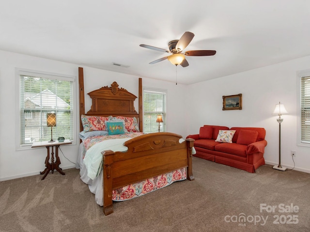 79044 Ridgehaven Rd, Lancaster, SC 29720 - bedroom featuring carpet floors, multiple windows, baseboards, and ceiling fan