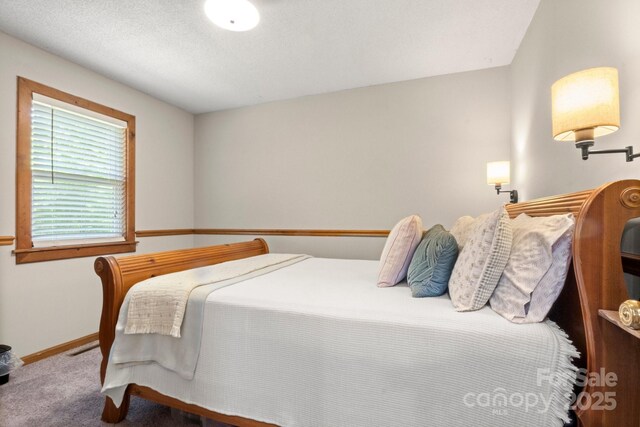 10139 Arlington Church Rd, Mint Hill, NC 28227 - bedroom featuring baseboards and carpet flooring