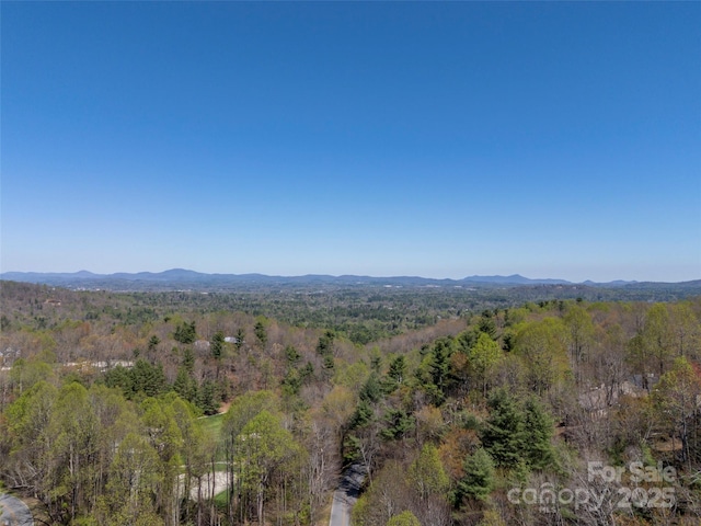 mountain view featuring a forest view