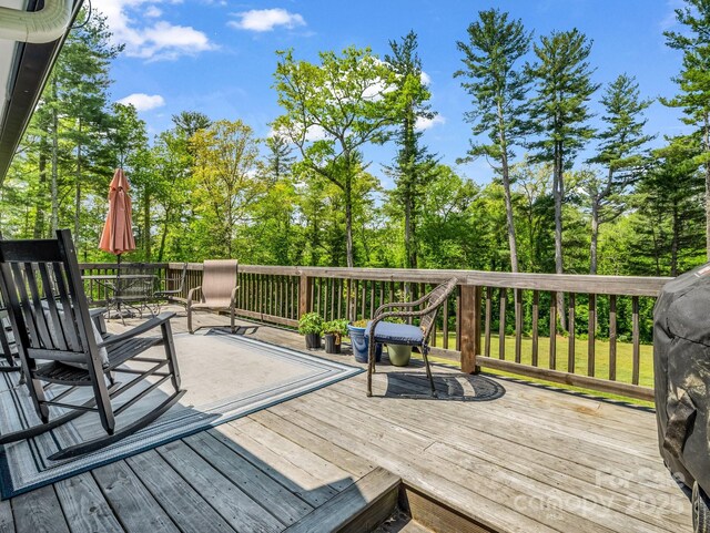 1351 Chanteloup Dr, Hendersonville, NC 28739 - photo 20