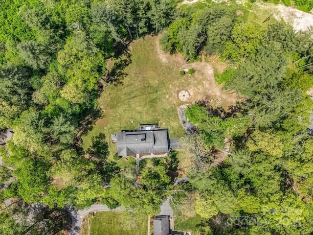 1351 Chanteloup Dr, Hendersonville, NC 28739 - photo 44