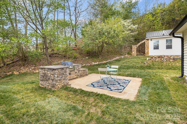 16 Graystone Rd, Asheville, NC 28804 - view of yard with a patio and exterior kitchen