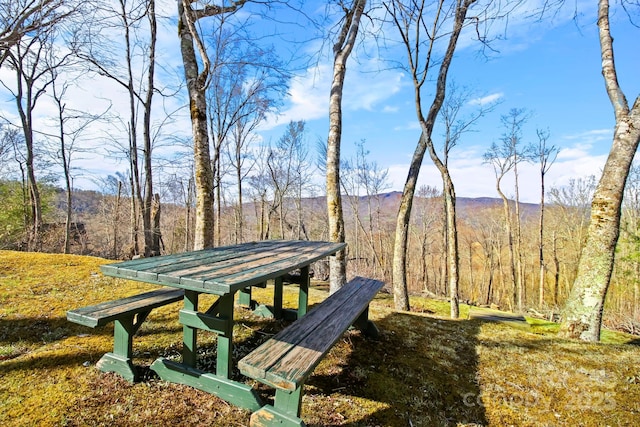 view of community featuring a mountain view and a wooded view