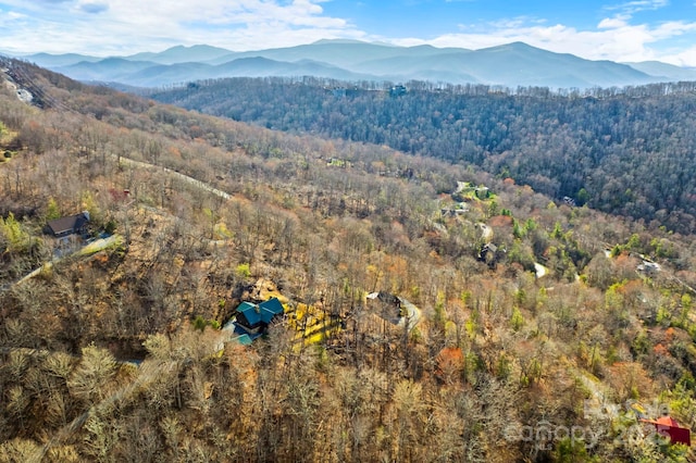 birds eye view of property featuring a forest view and a mountain view