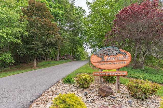 305 Piney Mountain Dr Unit R1, Asheville, NC 28805 - view of community sign