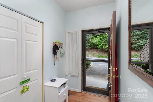305 Piney Mountain Dr Unit R1, Asheville, NC 28805 - doorway to outside featuring light wood finished floors