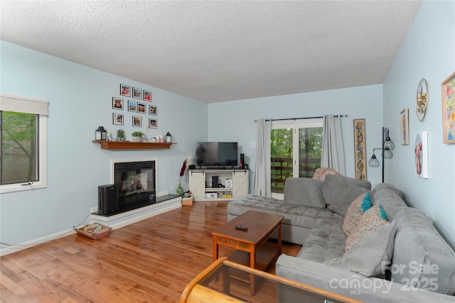 305 Piney Mountain Dr Unit R1, Asheville, NC 28805 - living area with wood finished floors, a textured ceiling, a glass covered fireplace, and baseboards