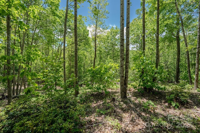 0 Beaver Dam Rd, Elk Park, NC 28622
