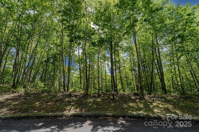 0 Beaver Dam Rd, Elk Park, NC 28622