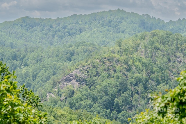 0 Beaver Dam Rd, Elk Park, NC 28622