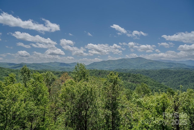 0 Beaver Dam Rd, Elk Park, NC 28622