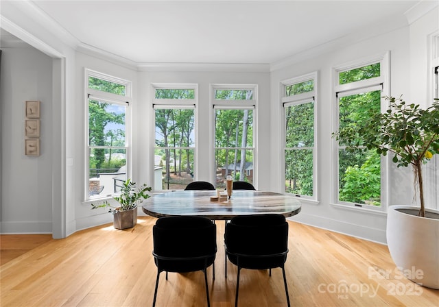 3933 Ayrshire Pl, Charlotte, NC 28210 - sunroom featuring crown molding, baseboards, a wealth of natural light, and wood finished floors
