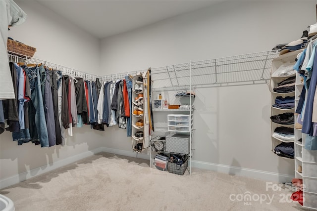 3029 Trace Meadow Ct, York, SC 29745 - spacious closet with carpet