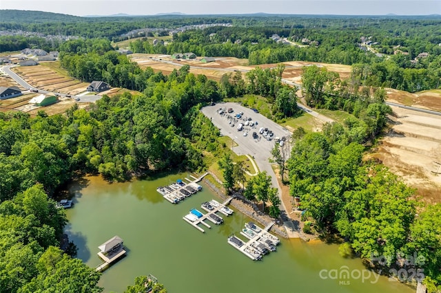 3029 Trace Meadow Ct, York, SC 29745 - bird's eye view with a water view and a view of trees