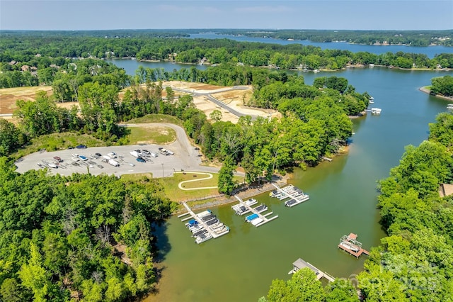 3029 Trace Meadow Ct, York, SC 29745 - birds eye view of property with a water view and a forest view