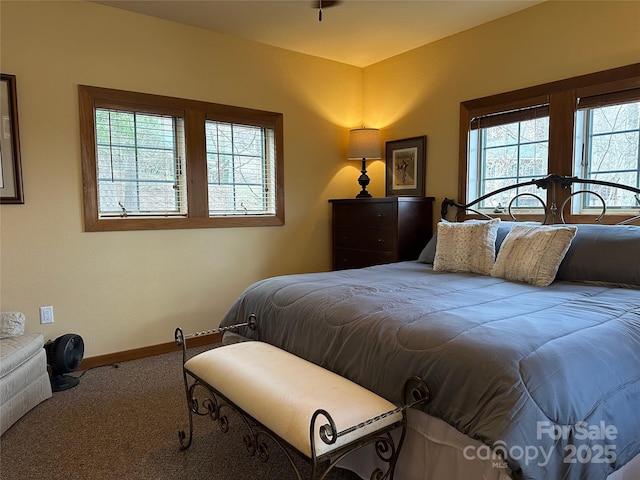 222 Creekside Way, Burnsville, NC 28714 - bedroom with multiple windows and carpet flooring