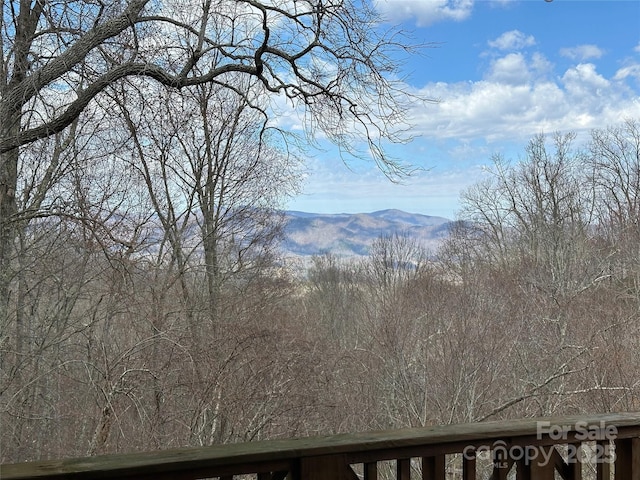 222 Creekside Way, Burnsville, NC 28714 - mountain view