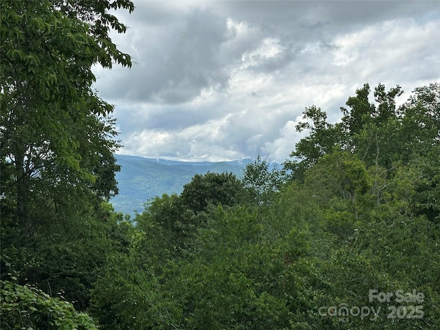 222 Creekside Way, Burnsville, NC 28714 - water view with a mountainous background and a forest