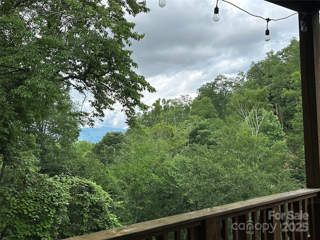 222 Creekside Way, Burnsville, NC 28714 - view of mountain background