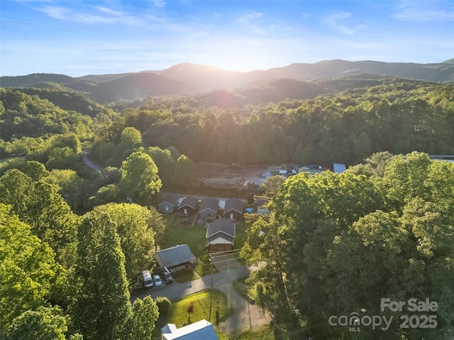 64 Carolina Ave, Brevard, NC 28712 - photo 2