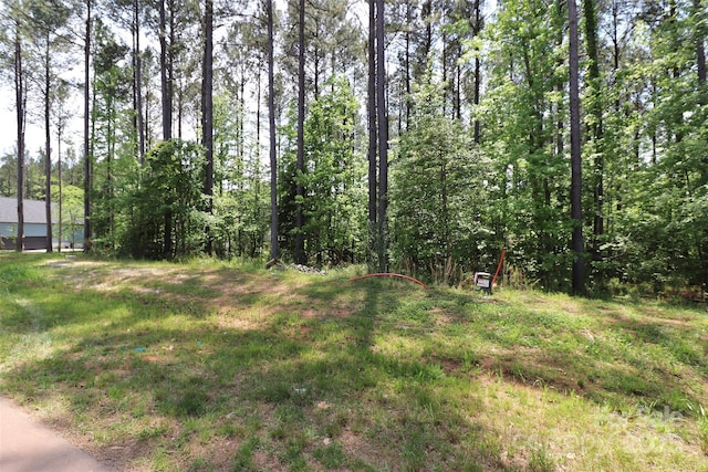 6395 Chimney Bluff Rd, Lancaster, SC 29720
