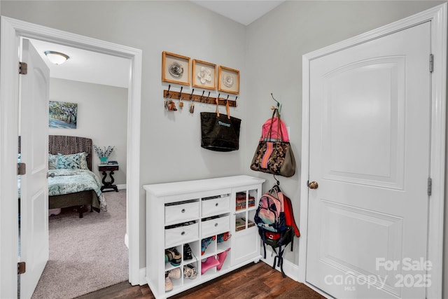 2655 Stonewood Vw, Kannapolis, NC 28081 - mudroom with dark wood finished floors and baseboards