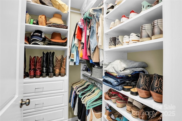 2655 Stonewood Vw, Kannapolis, NC 28081 - view of walk in closet