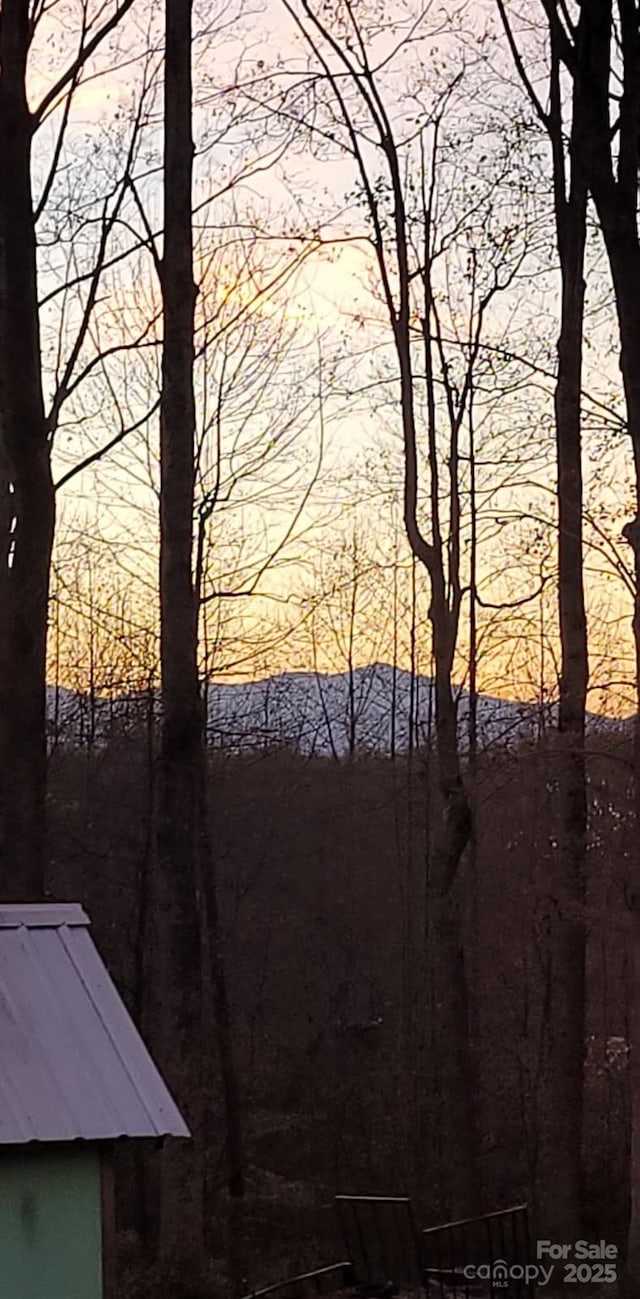 4107 Sandy Plains Rd, Tryon, NC 28782 - water view