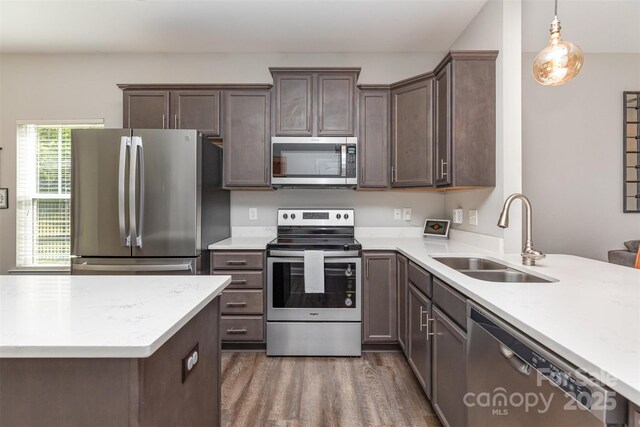 kitchen featuring dark brown cabinets, wood finished floors, stainless steel appliances, and a sink