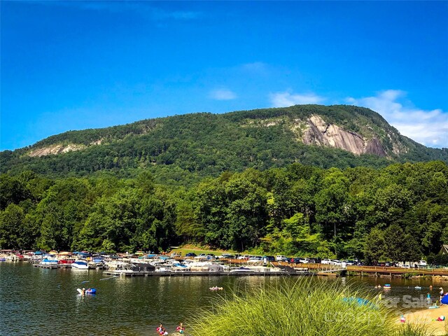 LOT32 High Rock Rdg, Lake Lure, NC 28746