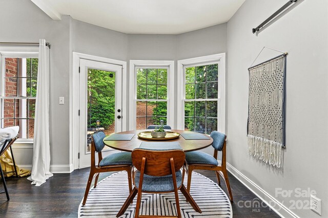 dining space with baseboards, dark wood finished floors, and a healthy amount of sunlight