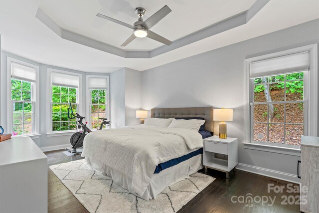 bedroom with baseboards, multiple windows, a tray ceiling, and dark wood-style floors