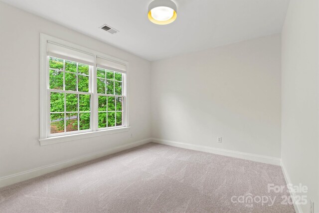 unfurnished room with baseboards, carpet flooring, and a healthy amount of sunlight