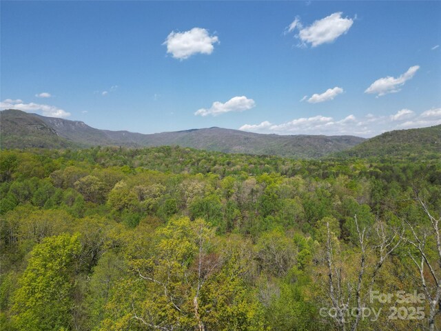 LOT34 High Rock Rdg, Lake Lure, NC 28746
